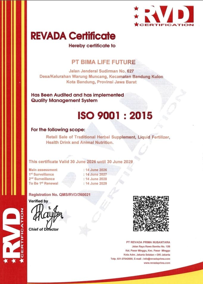 ISO 9001