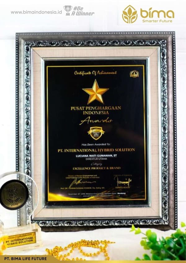 Penghargaan 2